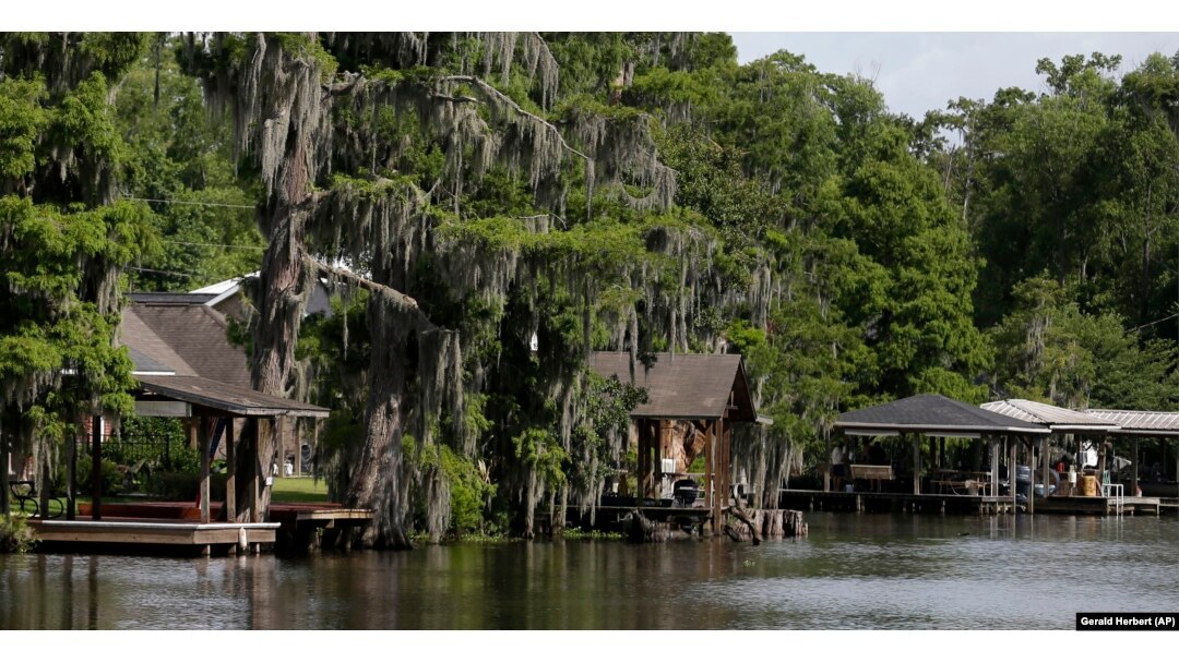 Louisiana Bayou