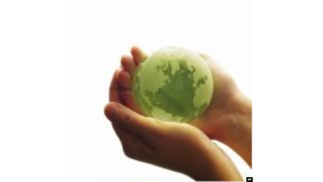 A New Wave of Green Business Emerges in Britain