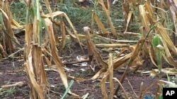 Foto de Arquivo