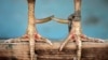 16x9 Image