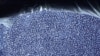 This cross section of an ice core from Antarctica tells scientists the history of the ancient atmosphere.
