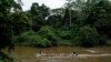 Hundreds of Migrants Face Sex Attacks in Darien Gap, Says MSF