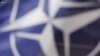 НАТО поддерживает территориальную целостность Украины