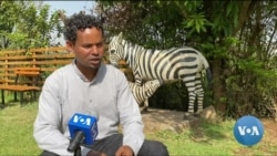 ጋቢና ቪኦኤ