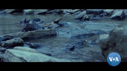 'Dark Waters' Rings Alarm on Chemical Hazards