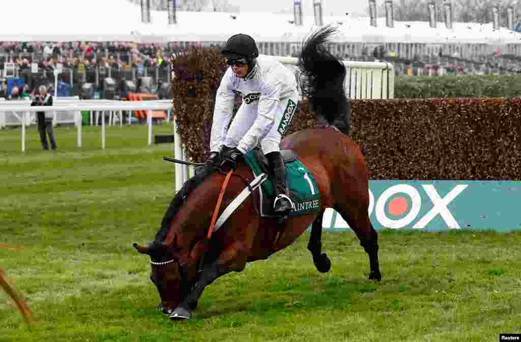 Brain Power, ridden by Nico de Boinville, falls down in the 13:45 Big Buck's Celebration Manifesto Novices' Chase in Liverpool, Britain, April 12, 2018