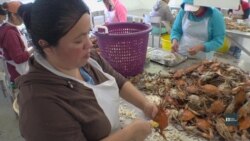 Чому індустрія переробки крабів у США працює на пів потужності. Відео