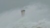Heavy Rain, Winds Lash Tokyo as Powerful Typhoon Hits Japan