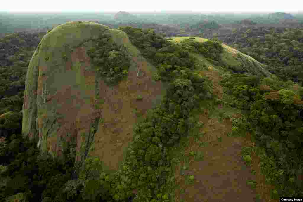Inselbergs are enormous rocks that stick out above the rainforest like islands, sometimes rising several hundred meters above the vegetation, shown here in northeastern Gabon. (Credit: ©Wild-Touch, Sarah Del Ben, 2012)