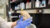 Researcher holds human brain in laboratory at Northwestern University's cognitive neurology and Alzheimer's disease center, Chicago, July 29, 2013 file photo.