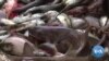 US Concerned Over China’s Illegal Fishing