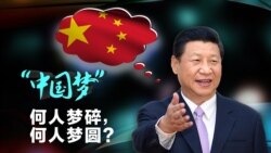 维系远大中国梦 习近平狠抓共青团