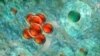 Researchers want to use the heat generated by nanoparticles to kill cancer cells, while not affecting nearby healthy tissue.