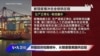 白宫要义：拜登政府短期修补、长期重整美国供应链