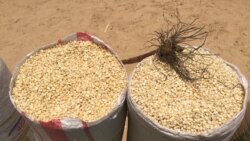 Guerra na Ucrânia e os preços de cereais e fertilizantes - 2:10