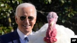 День подяки відкриває сезон зимових свят у США. 