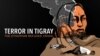 Terror in Tigray poster