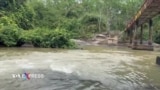 Suối Rạt ở Bình Dương