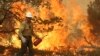 This Aug. 30, 2013, image provided by the U.S. Forest Service shows a member of the BLM Silver State Hotshot crew using a drip torch to set back fires on the southern flank of the Rim Fire in California.