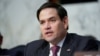 资料照：共和党联邦参议员鲁比奥（Sen. Marco Rubio, R-FL）2019年1月29日出席参议院情报委员会听证会。 